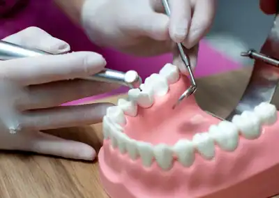 Dental procedure on model teeth